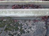 image of grave number 372995